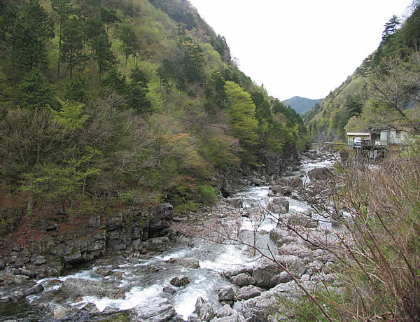 c0181543_23395098.jpg