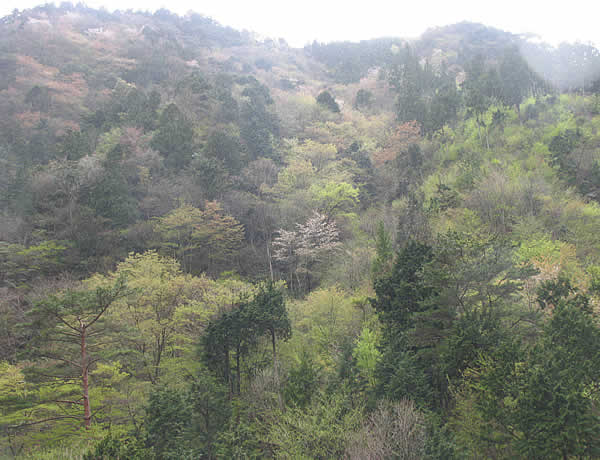 c0181543_23401544.jpg