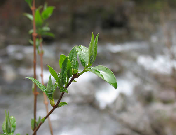 c0181543_23403687.jpg