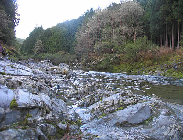 c0181543_23433550.jpg