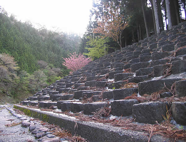 c0181543_2345426.jpg