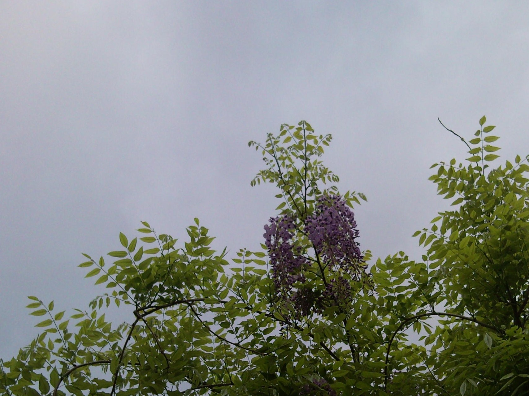e0150843_17511717.jpg