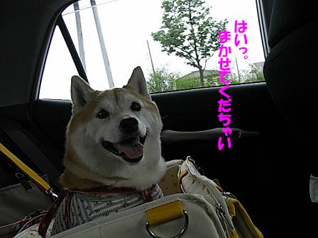 f0075043_2225587.jpg