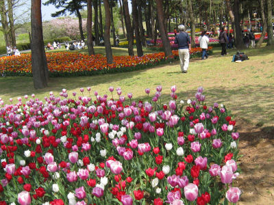 c0033145_9331573.jpg