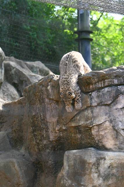 e0123945_6371878.jpg