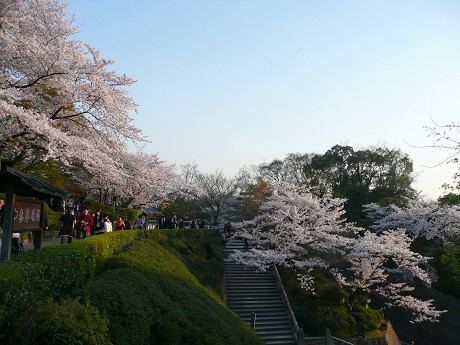 c0057946_23222960.jpg