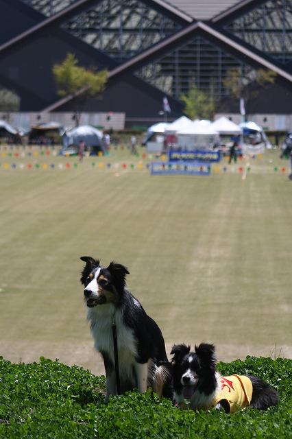 e0111449_13312361.jpg