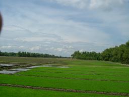 c0169451_17493571.jpg