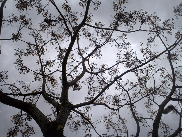d0061952_21561418.jpg