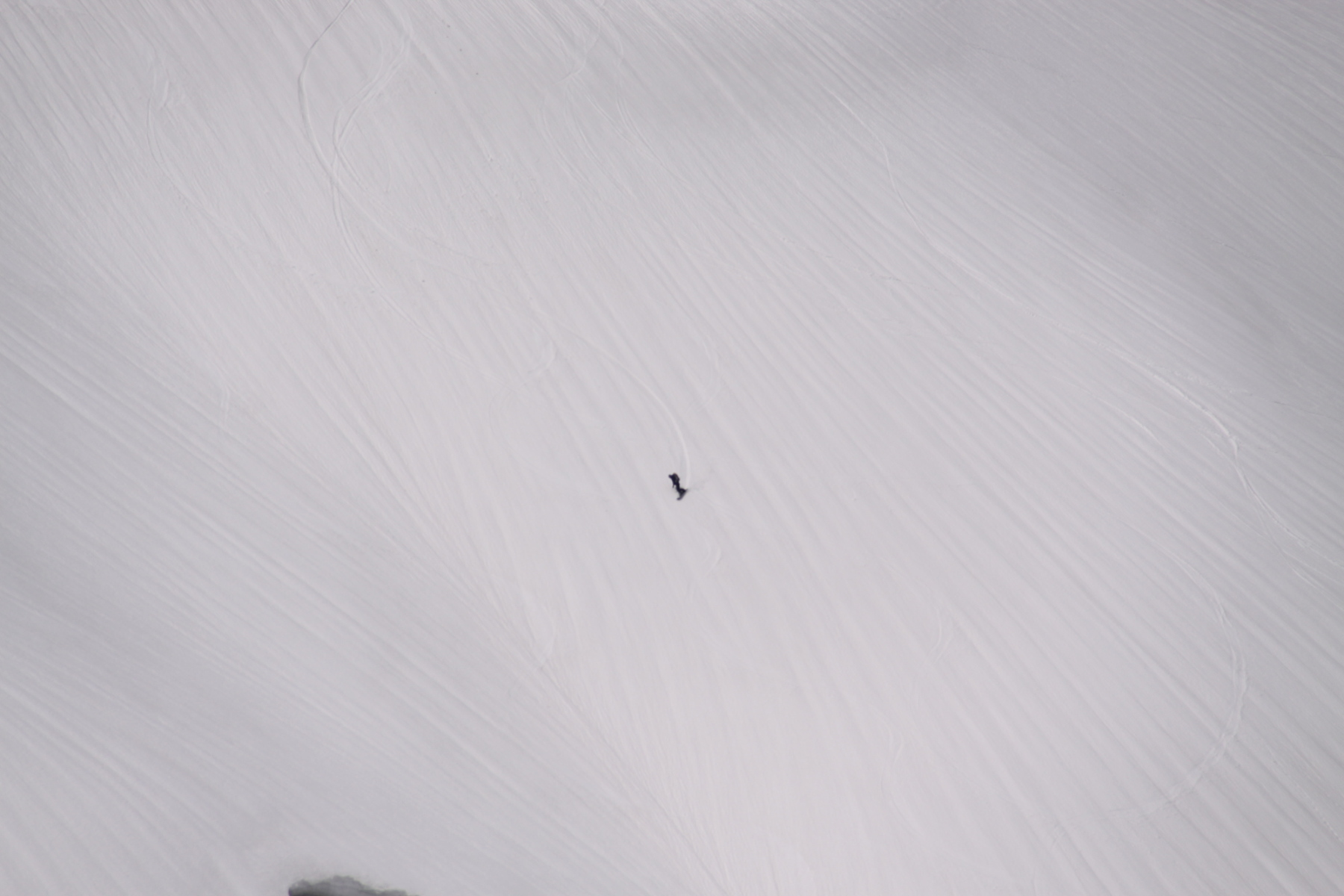 e0070552_2221199.jpg