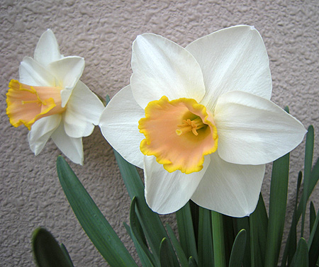 a0001354_21161930.jpg