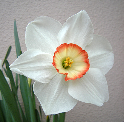 a0001354_2120510.jpg