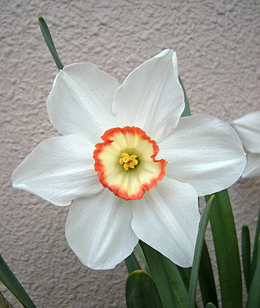 a0001354_21212750.jpg