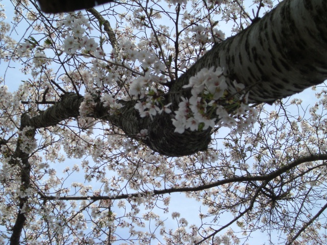 b0147756_7323477.jpg