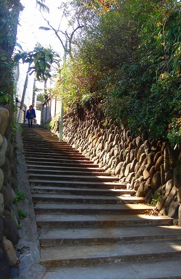 c0119160_2137569.jpg