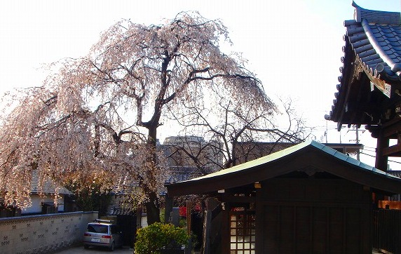 c0119160_22243441.jpg
