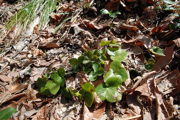 c0043361_041739.jpg
