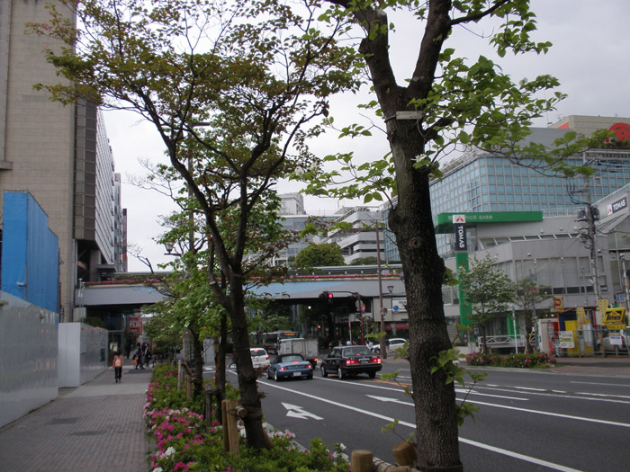 c0110361_1601561.jpg