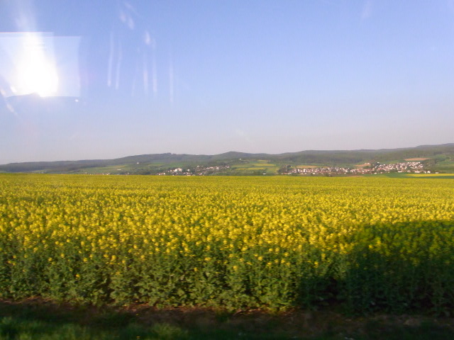c0197663_54503.jpg