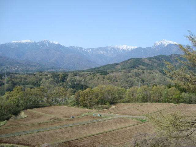 d0152765_11482664.jpg
