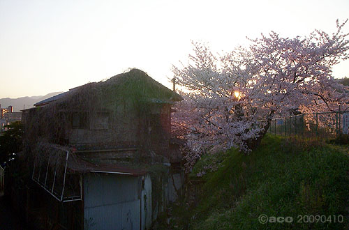 b0016567_22225991.jpg