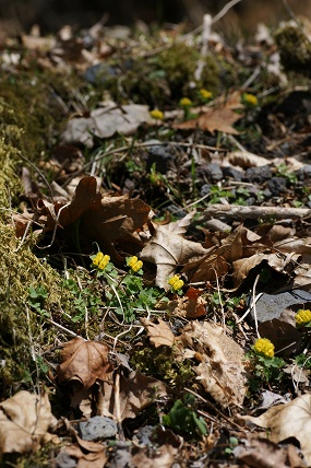 e0054067_0551680.jpg