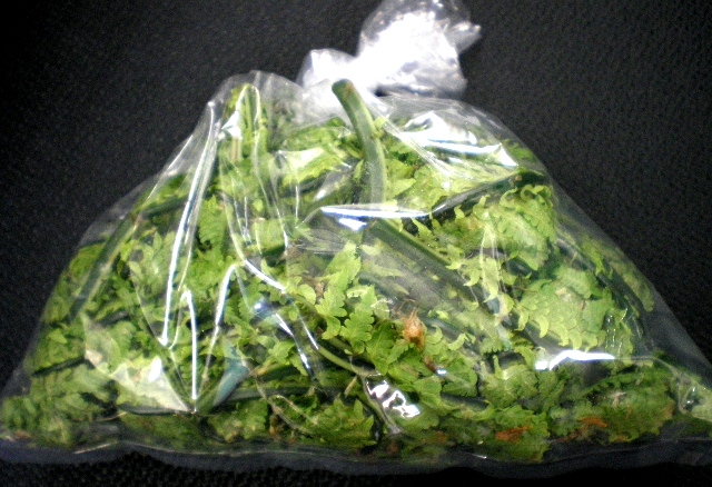 f0090868_816244.jpg
