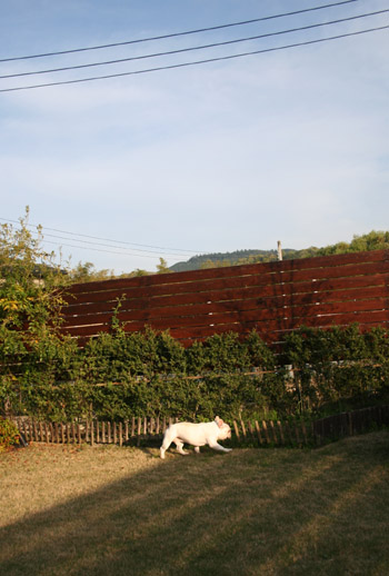 a0118270_0551024.jpg