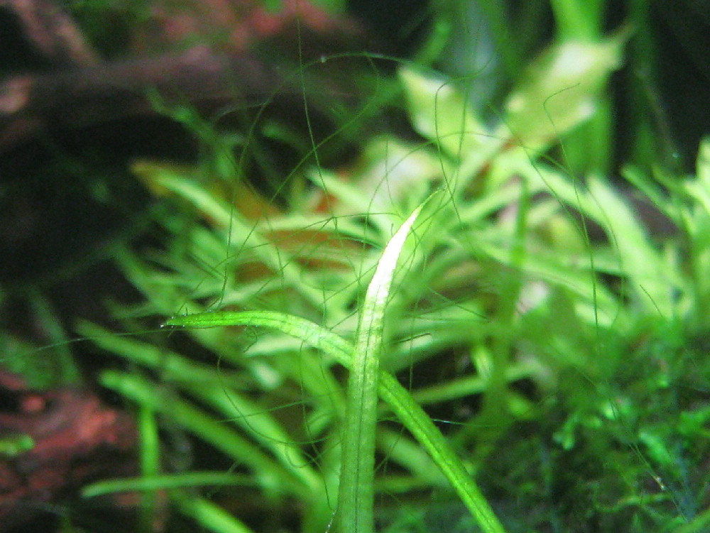 d0090170_21463210.jpg