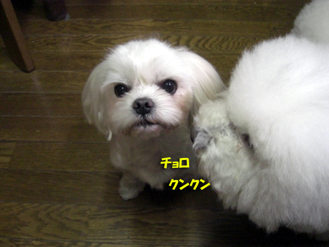 b0060071_0115959.jpg