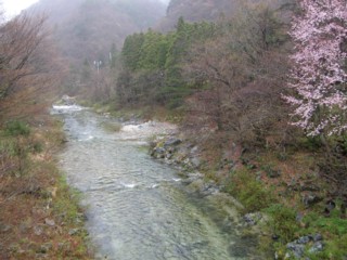 d0134473_1331925.jpg