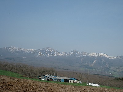 a0038882_9243971.jpg