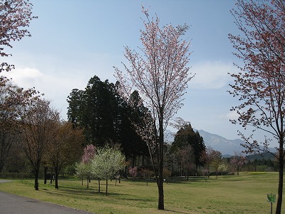 a0038882_9618100.jpg