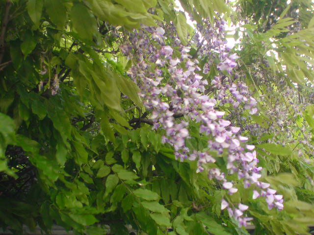 c0182782_21215021.jpg