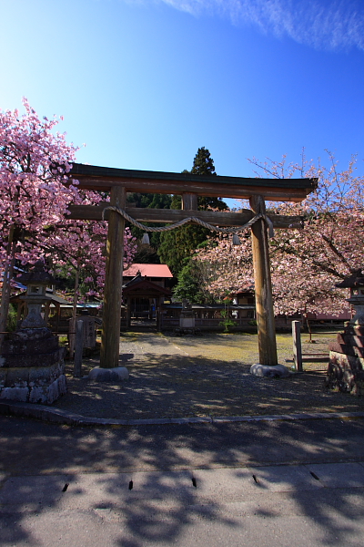 e0051888_5373232.jpg