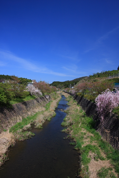 e0051888_5451664.jpg