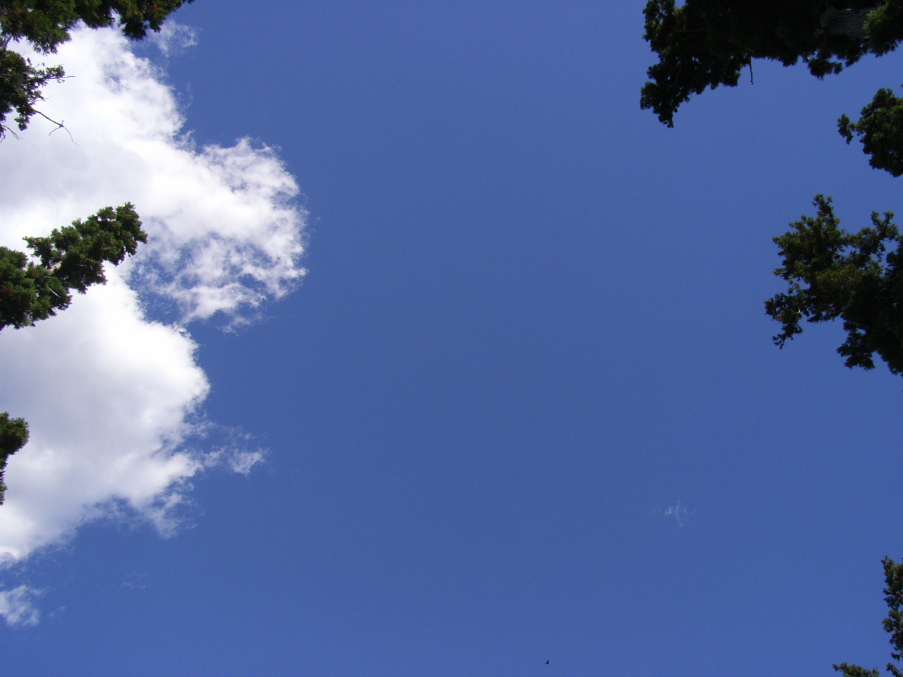 f0206488_2112791.jpg