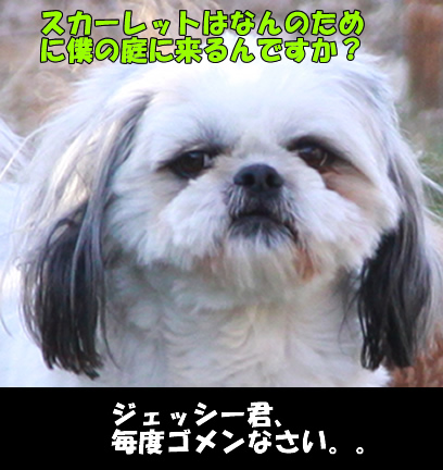 c0164491_1121451.jpg