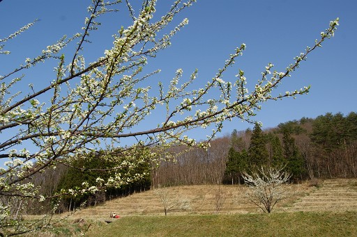 f0064192_2210336.jpg