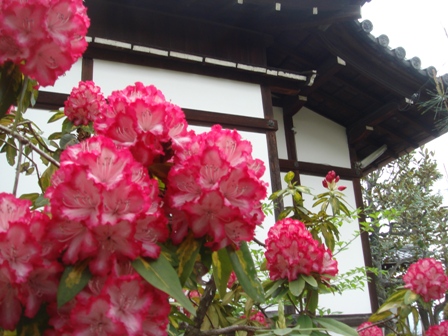 e0111793_0224714.jpg