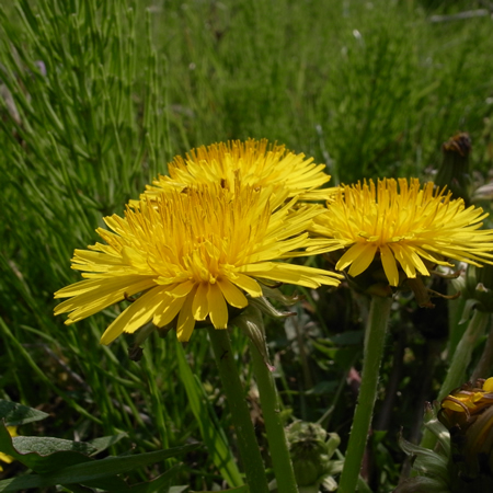 f0070493_22243694.jpg