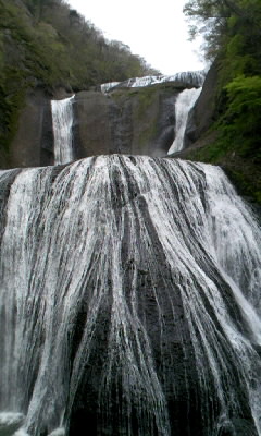 b0029694_6461479.jpg