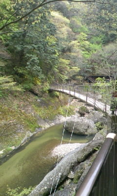 b0029694_6474079.jpg