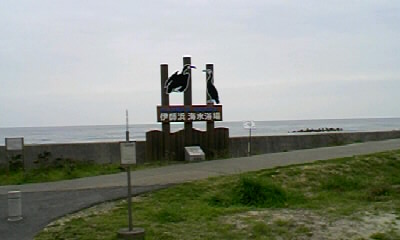 b0029694_652631.jpg