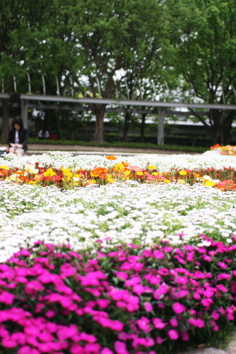 c0129498_04528.jpg