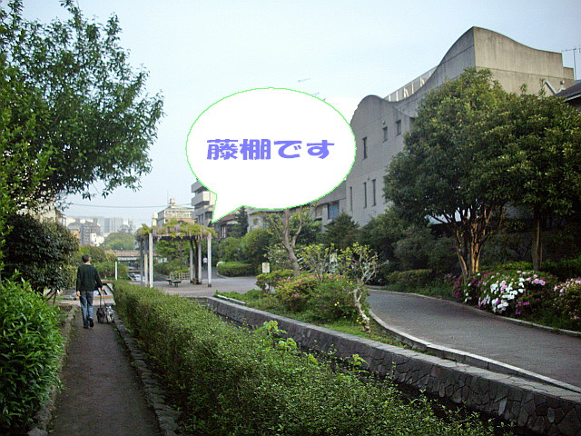c0138198_1544308.jpg