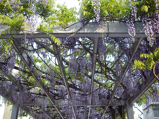 c0138198_15484841.jpg