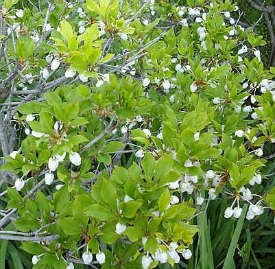 c0138198_15575626.jpg