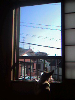 f0123098_17125378.jpg