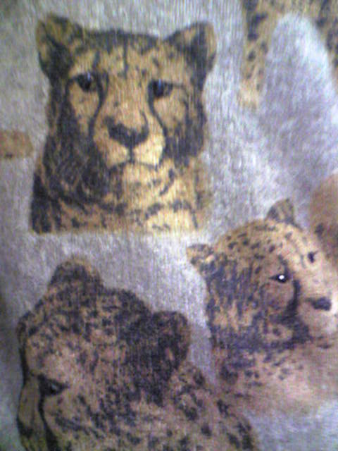 c0075299_22483119.jpg